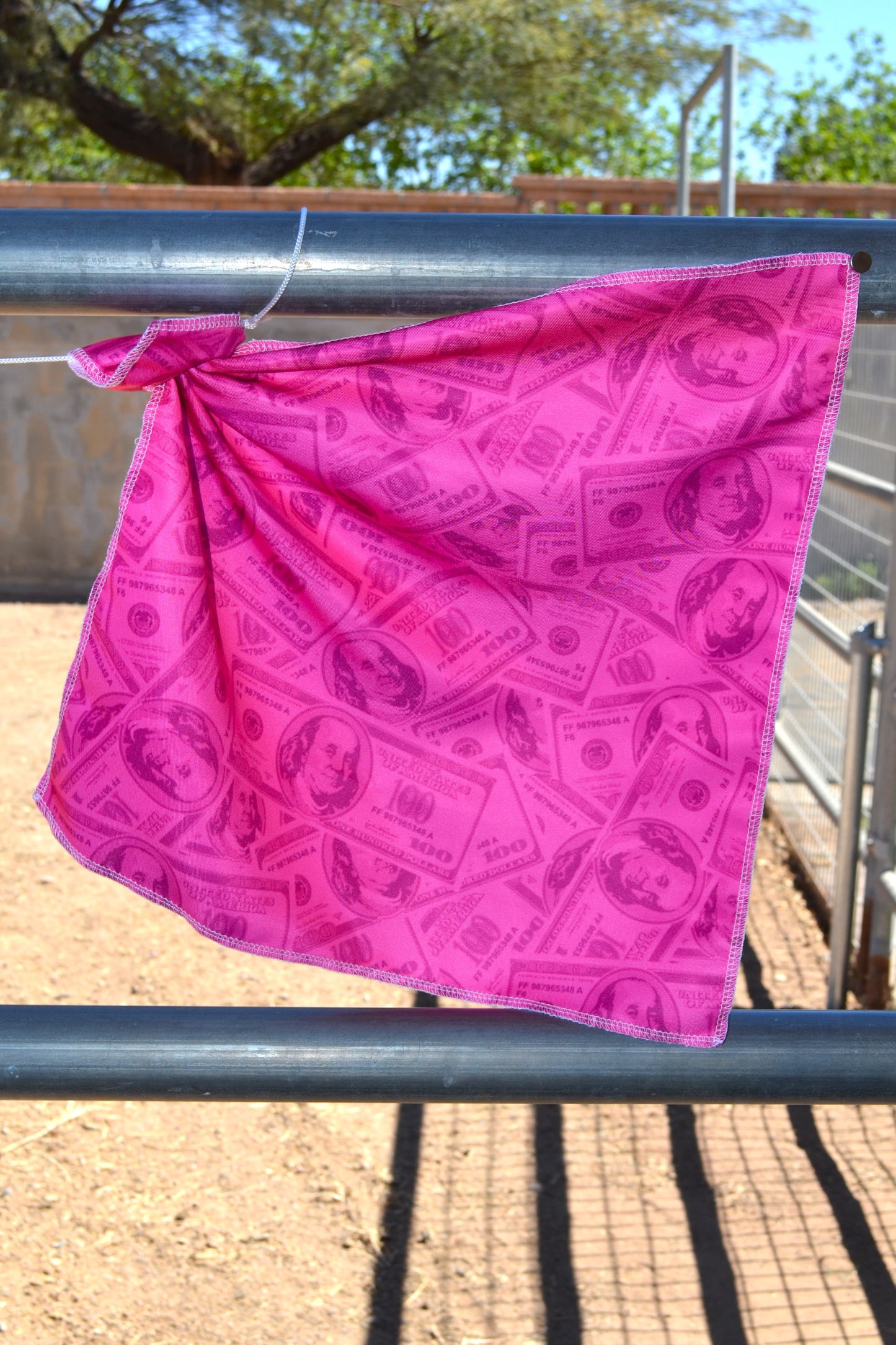 Pink Money Breakaway Flag