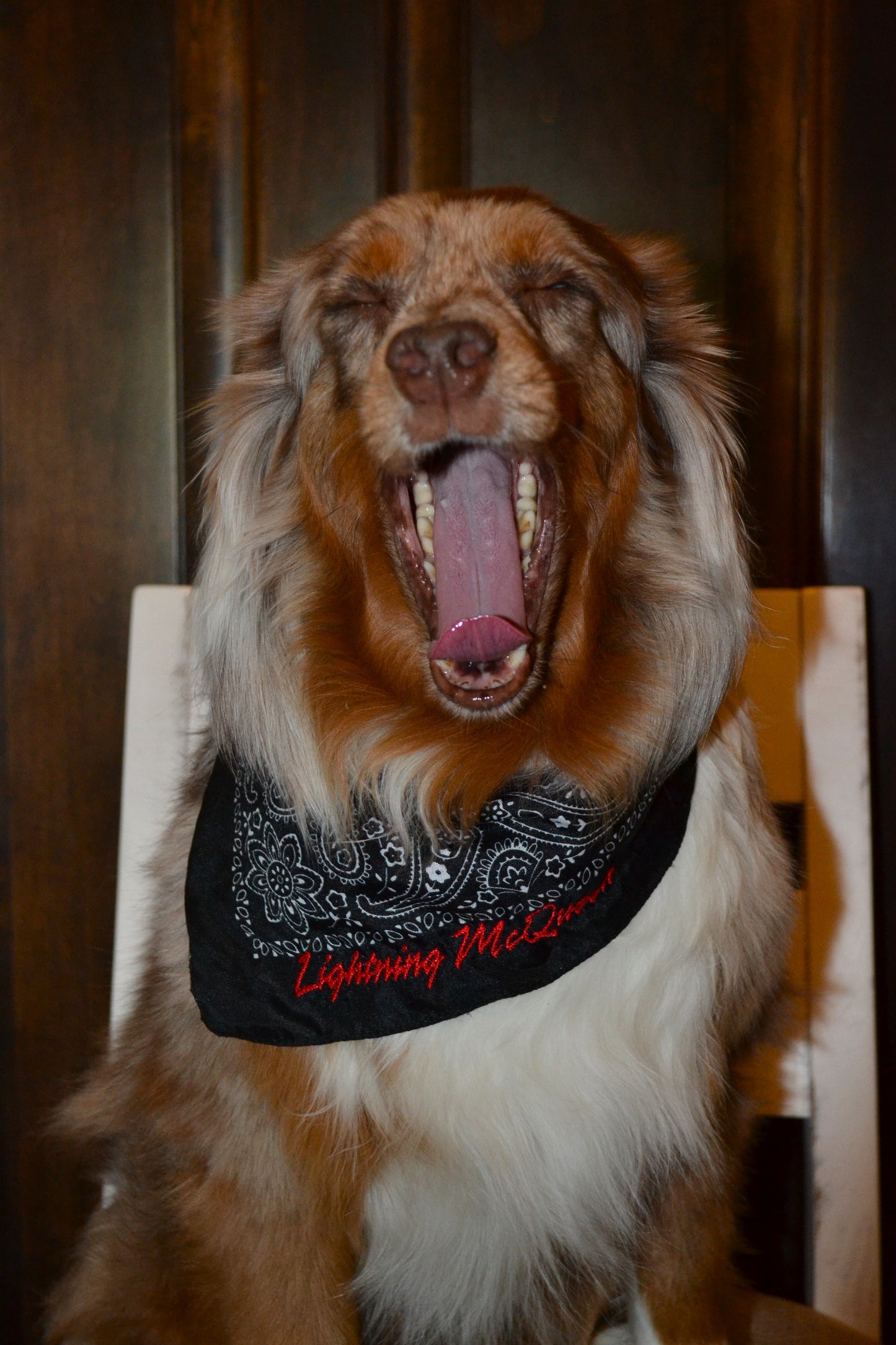 Custom Bandanas