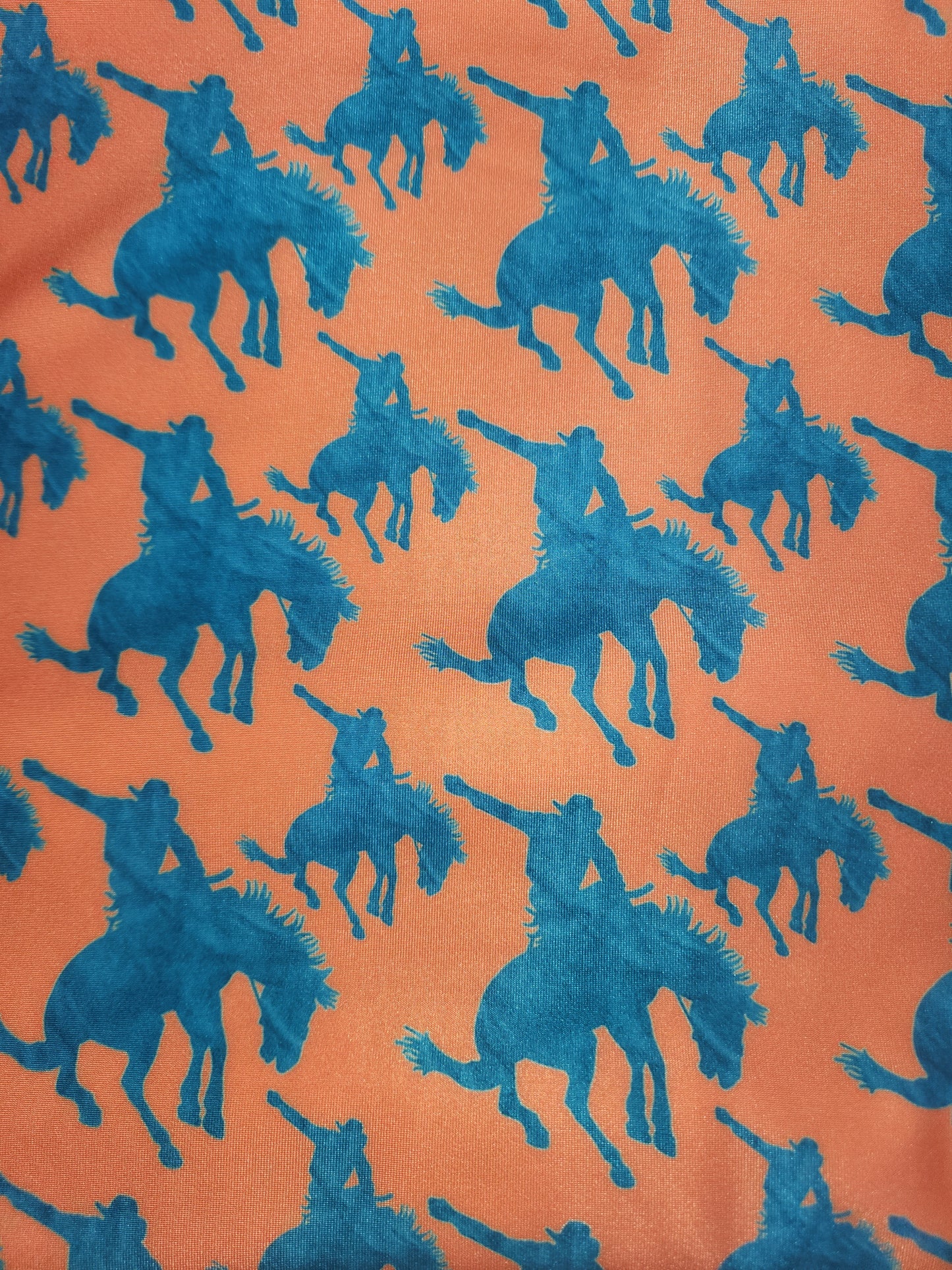 Orange Teal Bronc Tail Bag