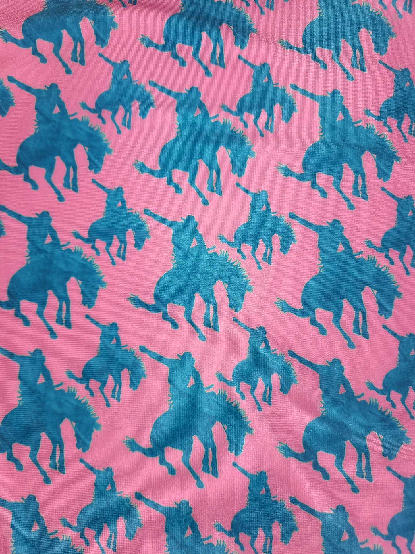 Pink Teal Bronc Tail Bag