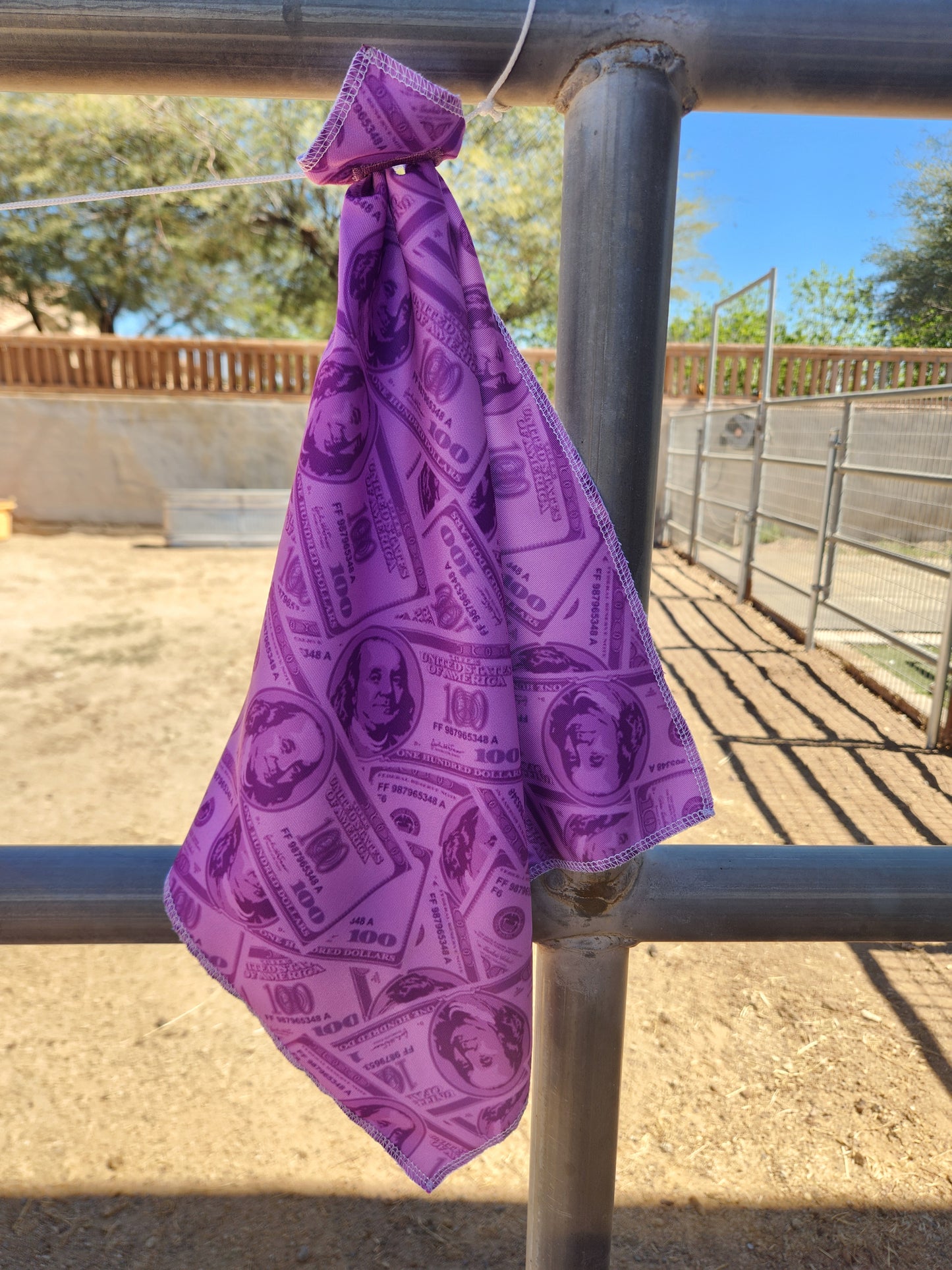 Purple Money Breakaway Flag