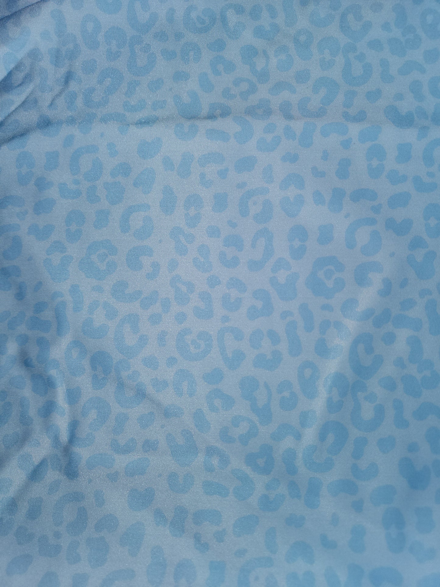 Light Blue Cheetah Tail Bag