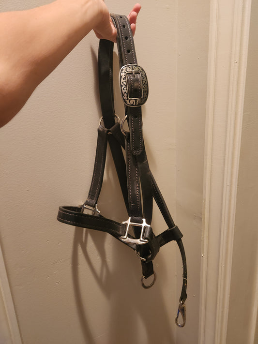 Rockin A Setback Halter with Upgraded Buckles