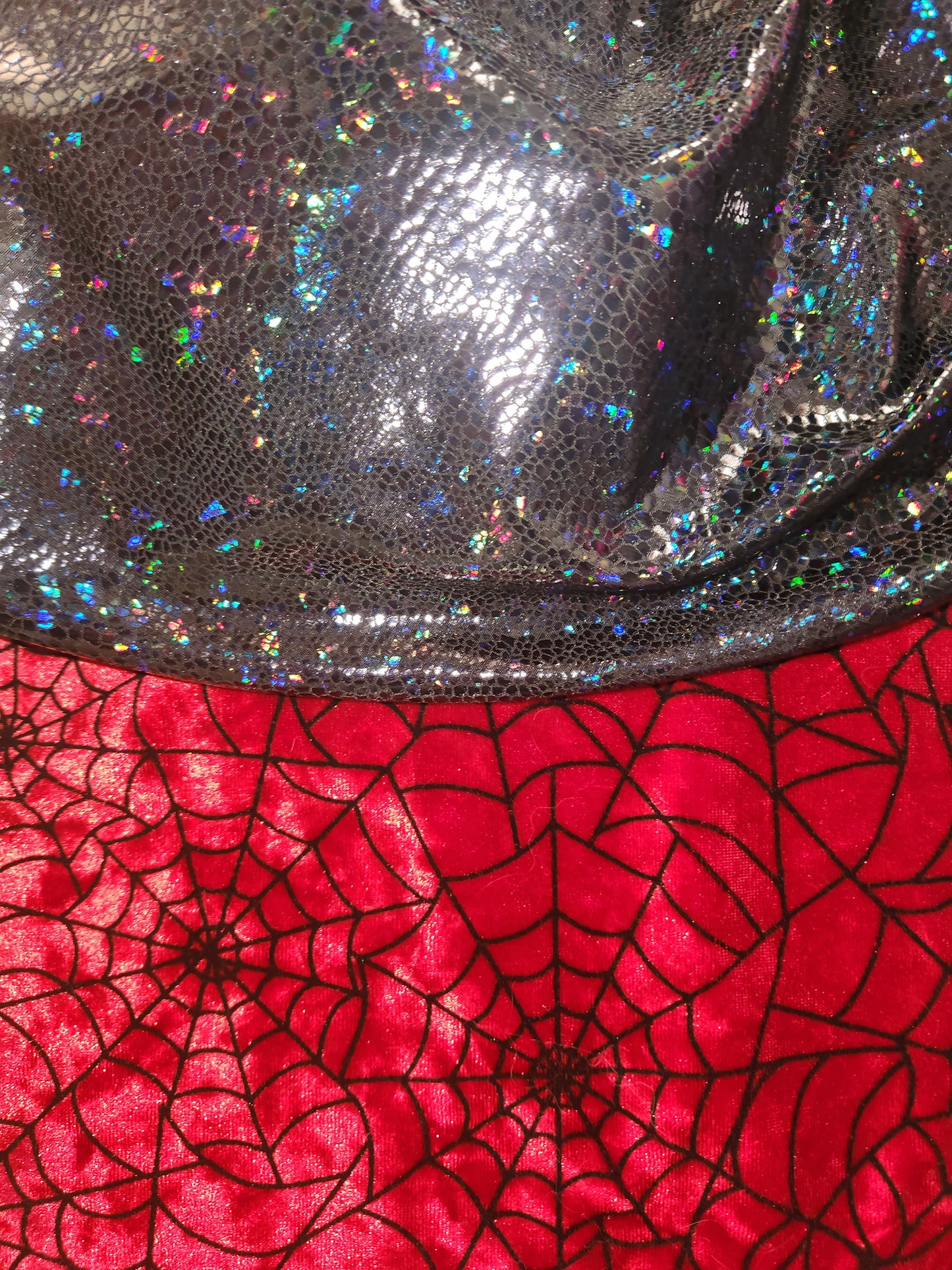 Red Spiderweb Velvet X Black Holographic Mane Bags Set of 5