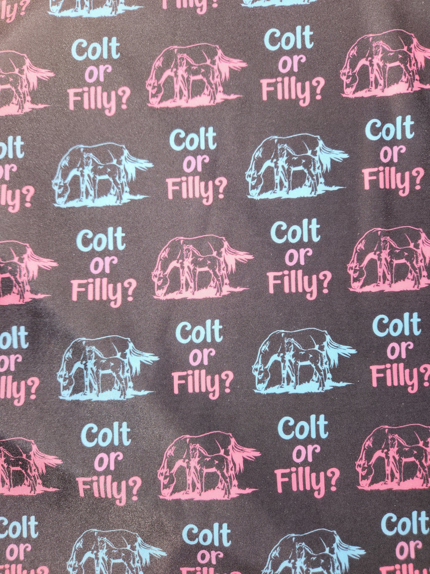 Colt or Filly Tail Bag