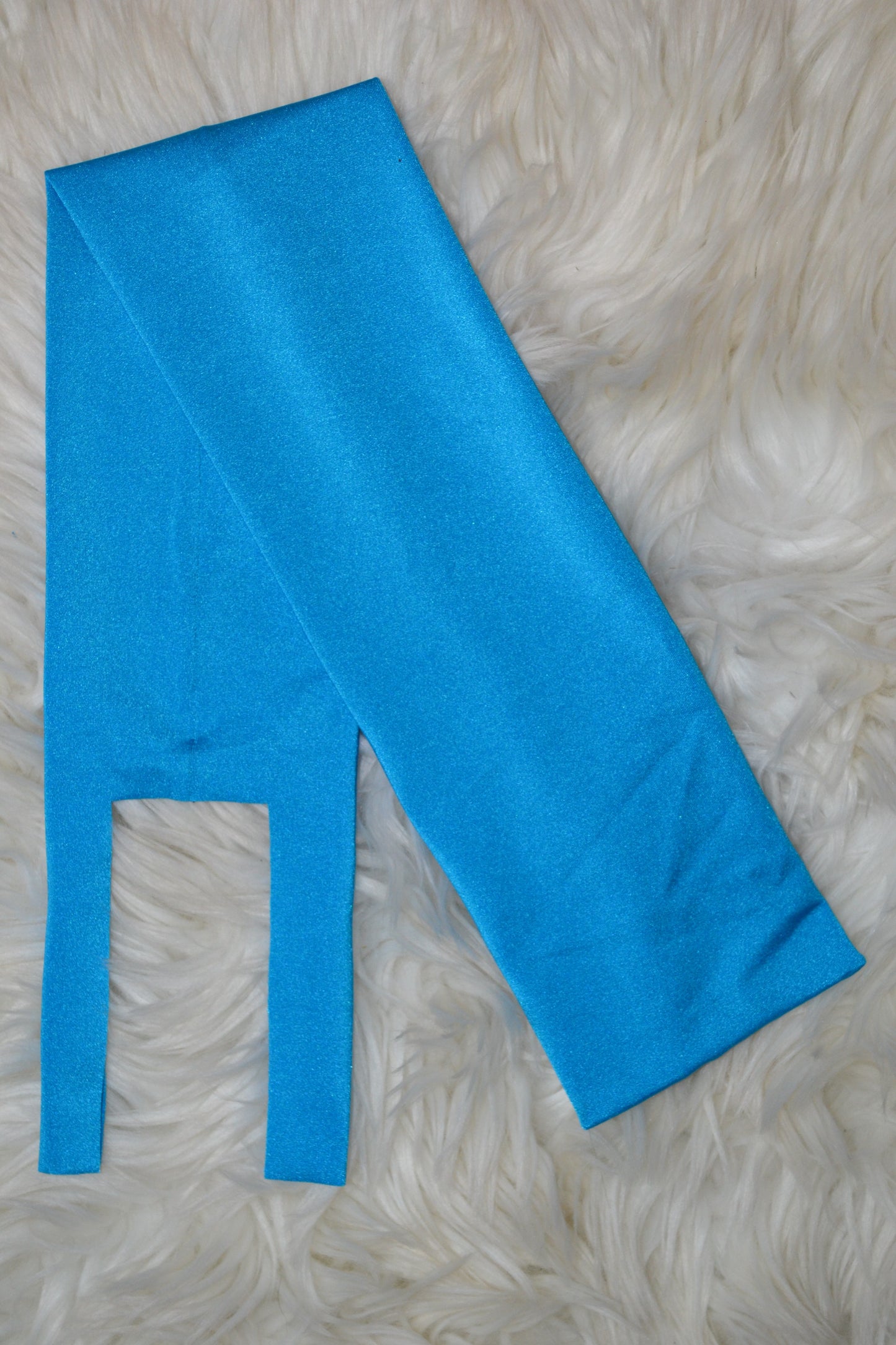 Teal Blue Tail Bag