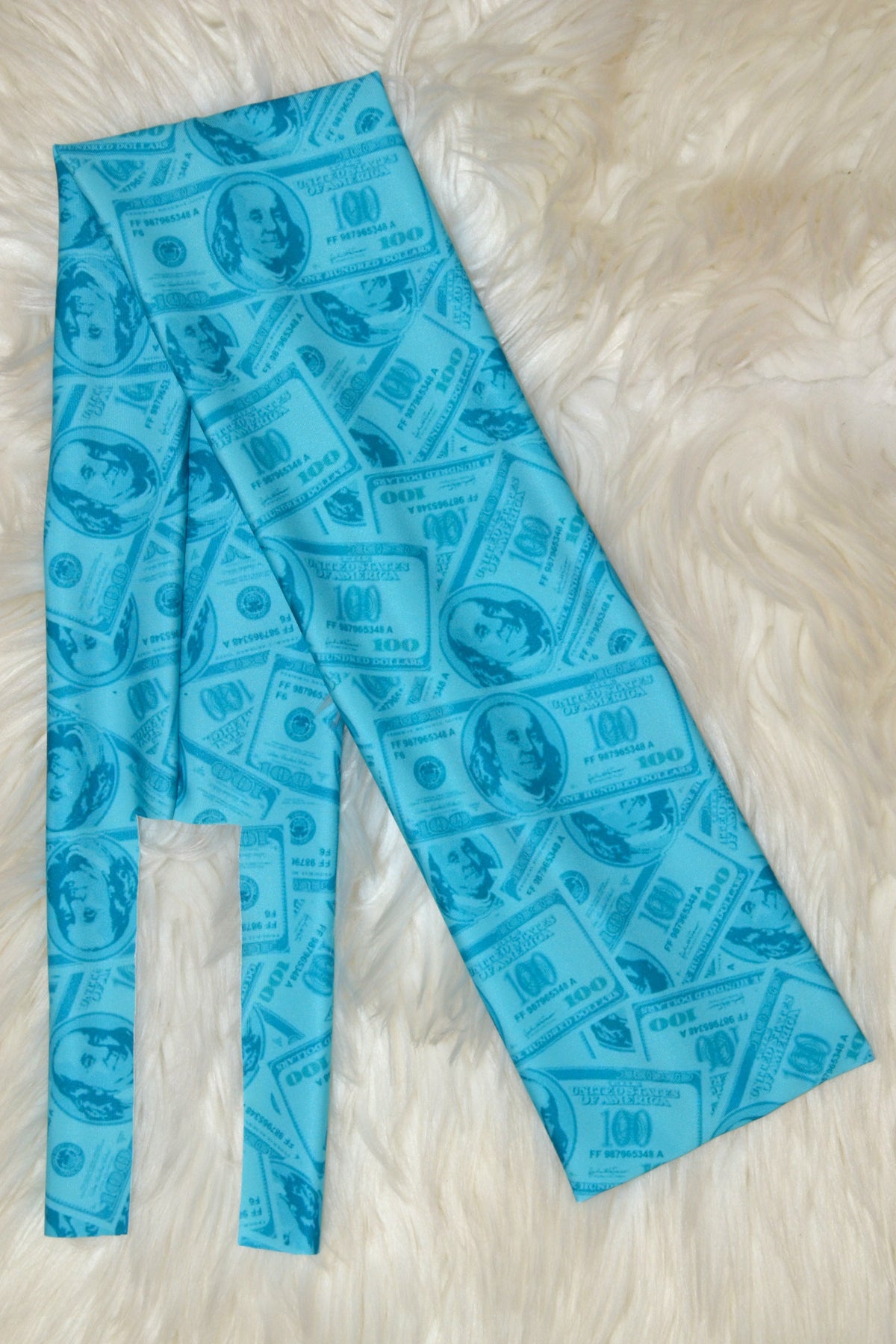 Teal Money Tail Bag