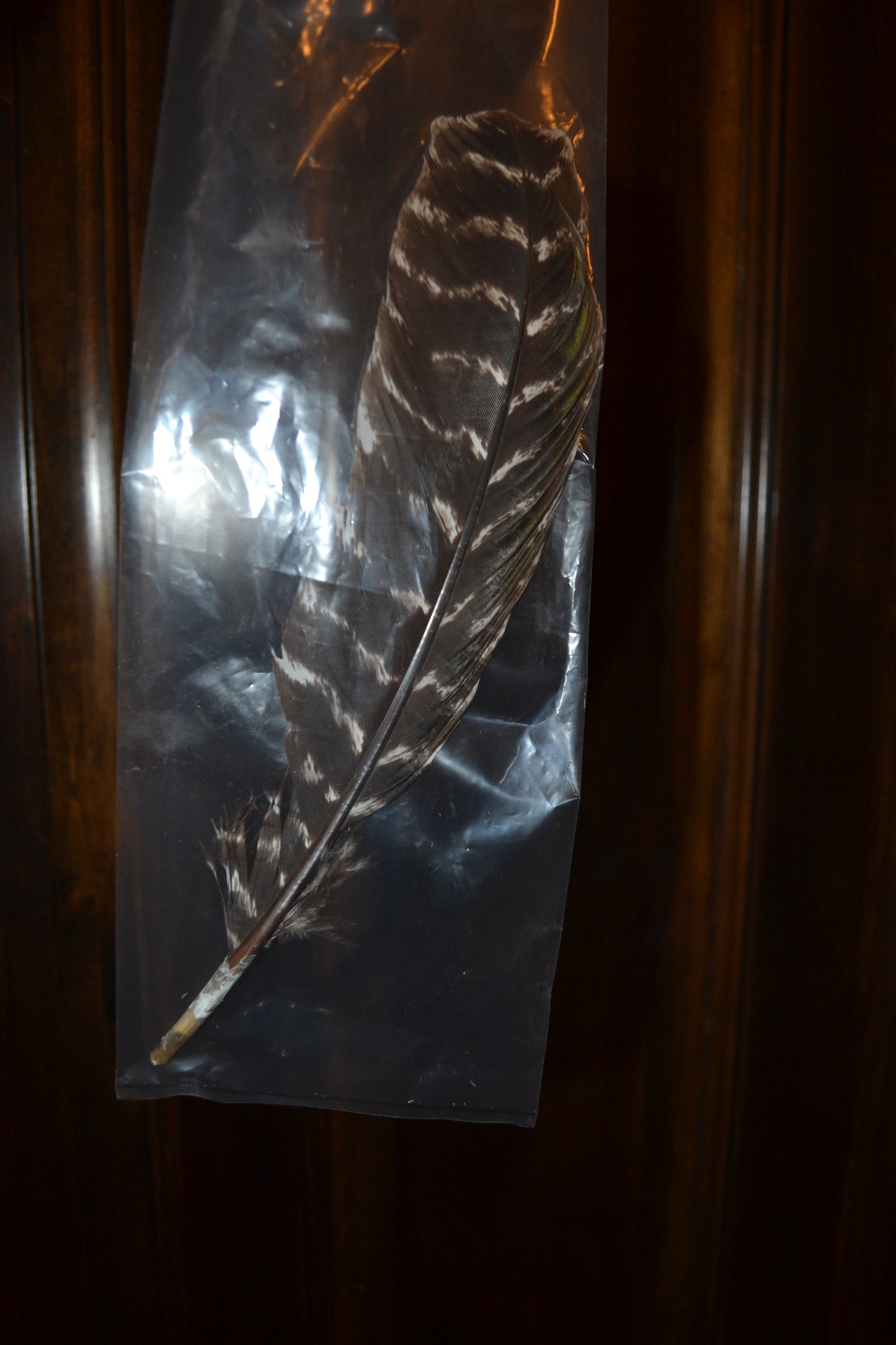 New Charlie 1 Horse Hat Size Large