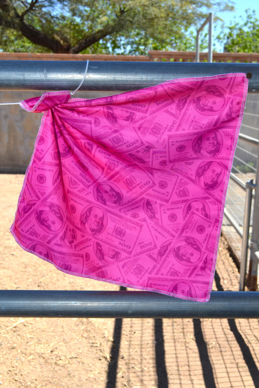 Pink Money Breakaway Flag