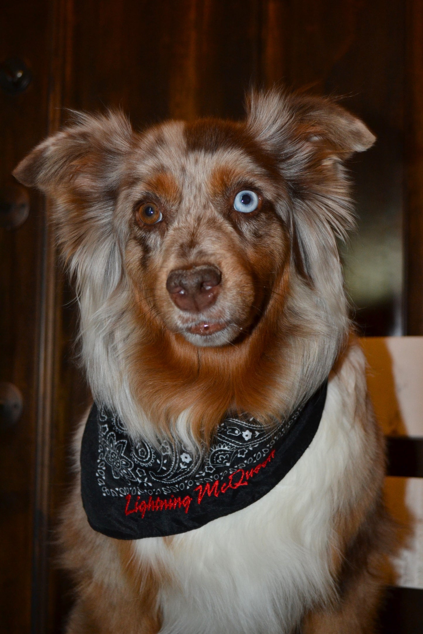 Custom Bandanas