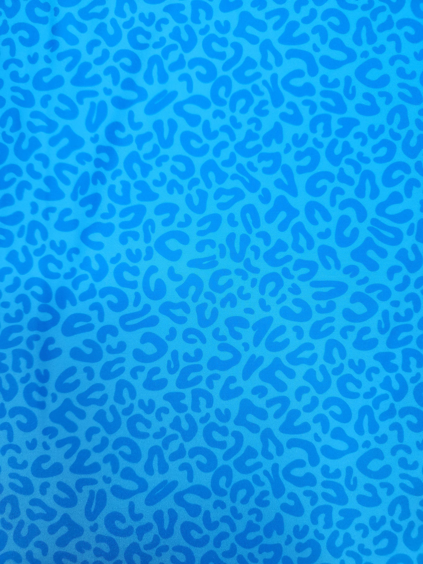 Blue Cheetah Tail Bag