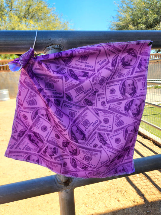 Purple Money Breakaway Flag