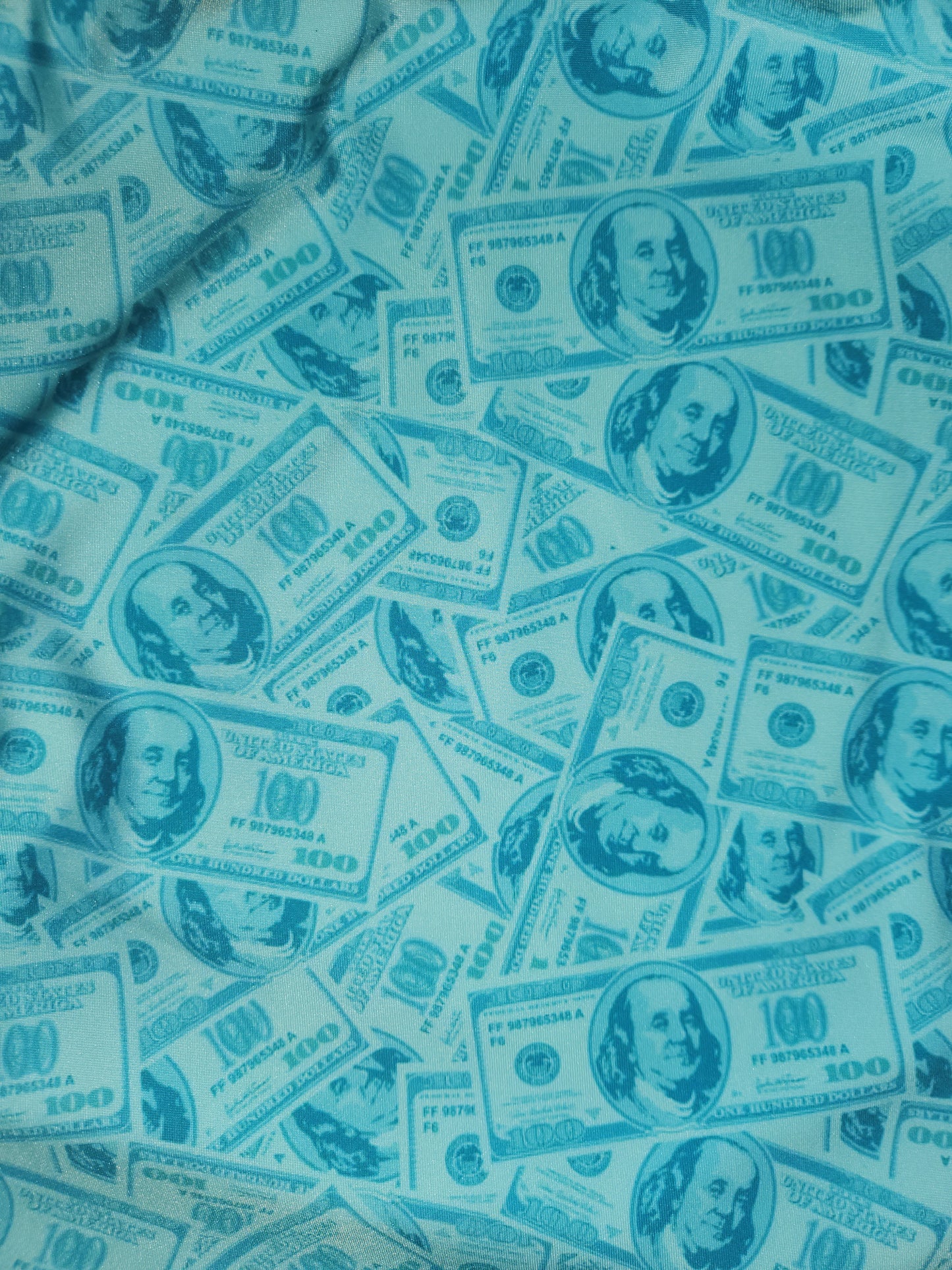 Teal Money Tail Bag